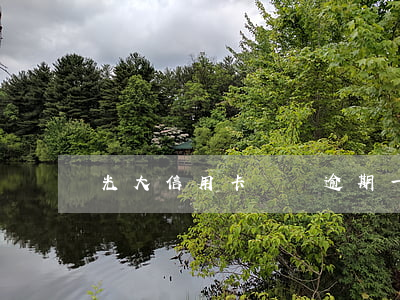 光大信用卡兩萬逾期一年