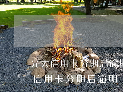 光大信用卡分期后逾期了利息怎么算-光大信用卡分期后逾期了利息怎么算出来的