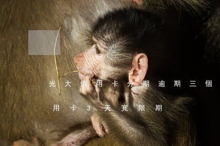 光大信用卡分期逾期三個(gè)月(光大信用卡3天寬限期)