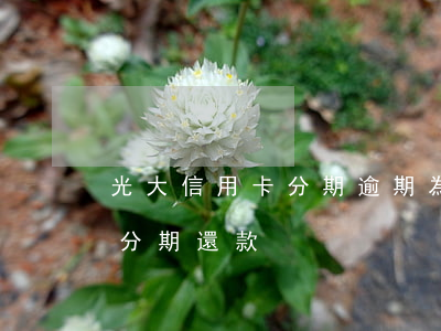 光大信用卡分期逾期為2期 光大逾期一年想分期還款