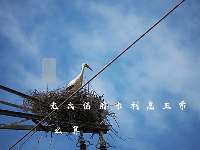 光大信用卡利息正常嗎(光大銀行信用利息怎么算)