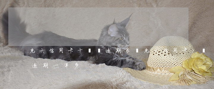 光大信用卡十幾萬逾期呆賬(光大信用卡7萬逾期一年多)