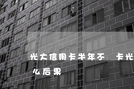 光大信用卡半年不還卡(光大信用卡不還有什么后果)