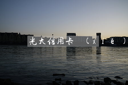 光大信用卡協(xié)商會(huì)先還