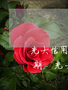 光大信用卡協(xié)商還款可以做多少期-光大信用卡協(xié)商還款可以做多少期還款