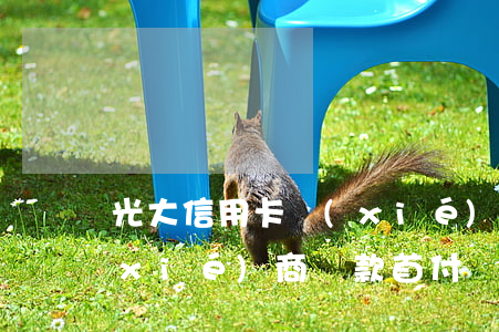 光大信用卡協(xié)商首付-光大協(xié)商還款首付