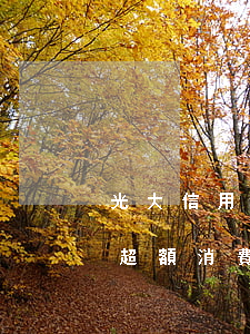 光大信用卡可以透支多(光大銀行信用卡可以超額消費(fèi)嗎)