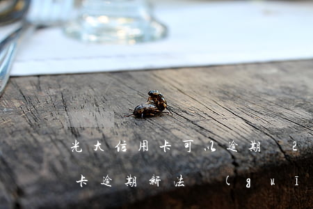 光大信用卡可以逾期嗎(2021年光大信用卡逾期新法規(guī))