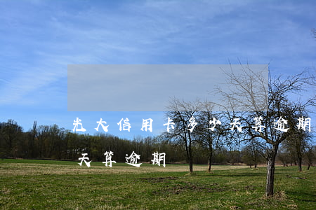 光大信用卡多少天算逾期(光大信用卡超過幾天算逾期嗎)
