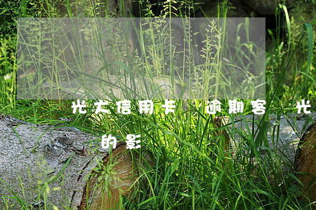 光大信用卡對逾期客戶(光大信用卡對逾期客戶的影響)