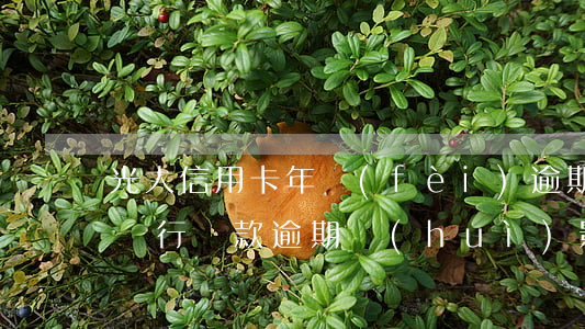 光大信用卡年費(fèi)逾期怎么樣(光大銀行貸款逾期,會(huì)影響光大信用卡嗎)
