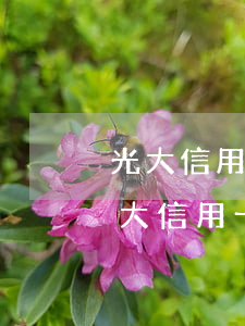 光大信用卡年費(fèi)逾期怎么解除 光大信用卡5年到期還能使用嗎