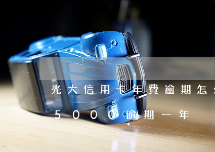 光大信用卡年費逾期怎么處理(光大信用卡85000逾期一年)