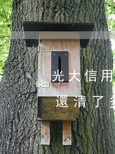 光大信用卡忘記還逾期了(光大信用卡逾期后還清了多久才能恢復(fù)使用)