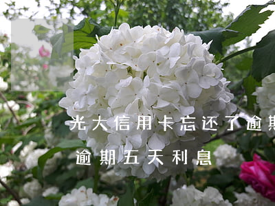 光大信用卡忘还了逾期六天(光大信用卡7万逾期五天利息)