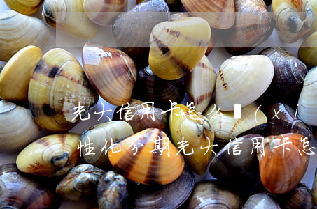 光大信用卡怎么協(xié)商個(gè)性化分期（光大信用卡怎么協(xié)商）