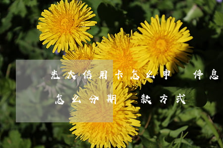光大信用卡怎么申請停息分期還(光大信用卡怎么分期還款方式)