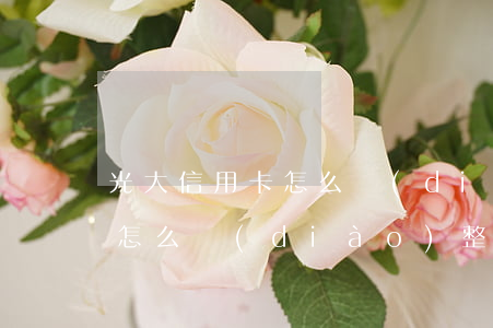 光大信用卡怎么調(diào)(光大信用卡怎么調(diào)整賬單日)