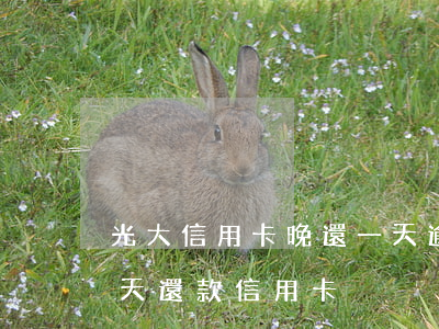 光大信用卡晚還一天逾期嗎(光大銀行延期幾天還款信用卡)