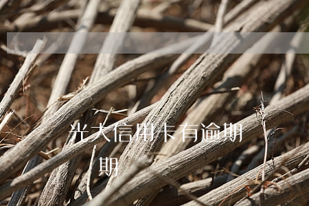 光大信用卡有逾期緩沖嗎(光大銀行信用卡緩沖期)