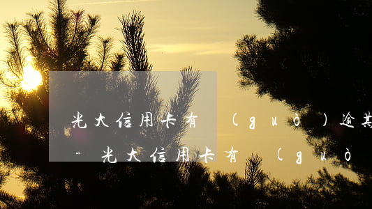 光大信用卡有過(guò)逾期記錄怎么辦-光大信用卡有過(guò)逾期記錄怎么辦理