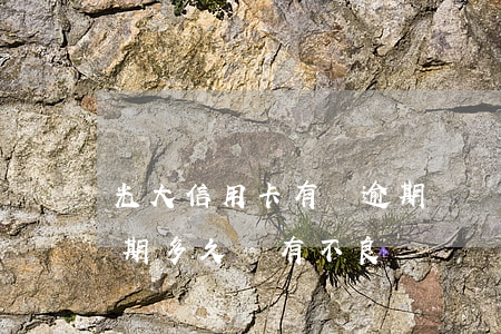 光大信用卡有過逾期記錄(光大銀行信用卡逾期多久會有不良記錄)
