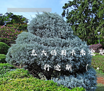 光大信用卡未逾期協(xié)商還款(光大銀行逾期協(xié)商還款方式協(xié)商多少)