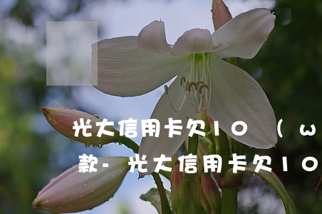 光大信用卡欠10萬(wàn)每月最低還款-光大信用卡欠10萬(wàn)每月最低還款多少