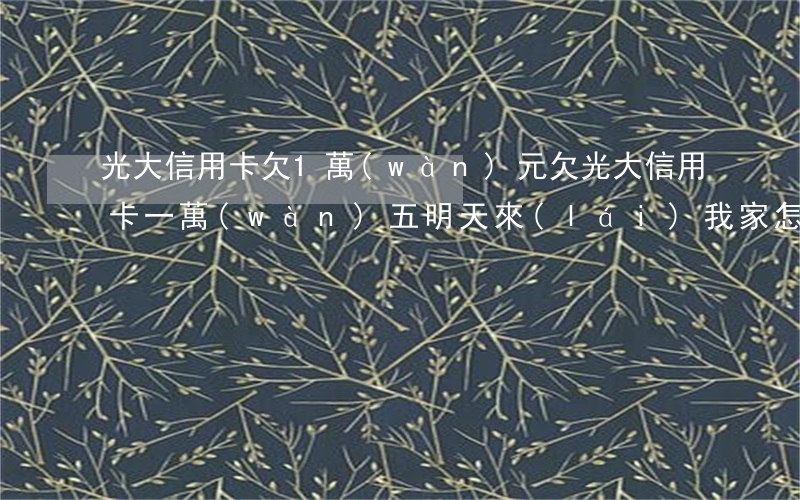 光大信用卡欠1萬(wàn)元(欠光大信用卡一萬(wàn)五明天來(lái)我家,怎么辦)