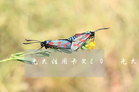 光大信用卡欠20萬(光大信用卡欠20萬)