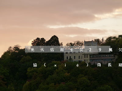 光大信用卡欠29萬 欠光大信用卡2萬可以協(xié)商長期分期嗎