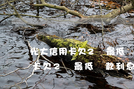 光大信用卡欠2萬最低還款利息-光大信用卡欠2萬最低還款利息是多少