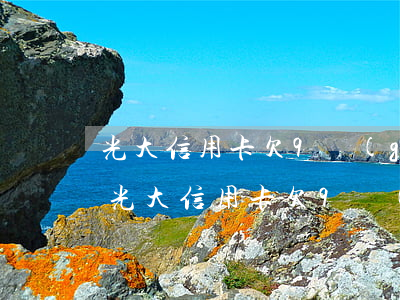 光大信用卡欠9個(gè)月沒還會怎樣-光大信用卡欠9個(gè)月沒還會怎樣嗎
