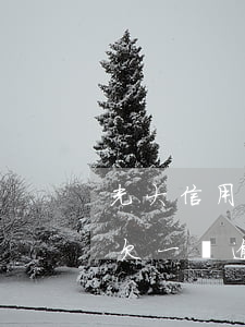 光大信用卡欠一萬逾期一年多了(光大信用卡欠一萬逾期一年多了)