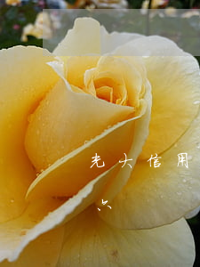 光大信用卡欠了一万六(光大信用卡欠了一万六)