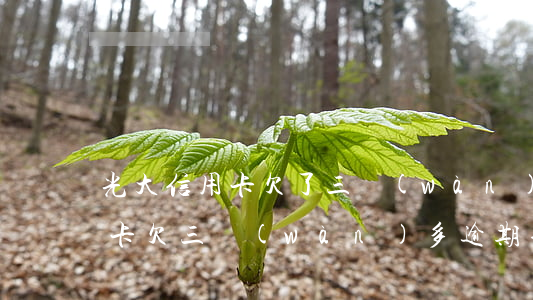 光大信用卡欠了三萬(wàn)-光大信用卡欠三萬(wàn)多逾期半年已被起訴還可以協(xié)商還款嗎