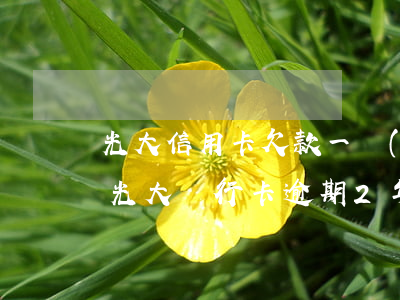 光大信用卡欠款一萬(wàn)多逾期(欠了光大銀行卡,逾期2年,告訴我再不還公安局立案了)