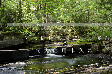 光大信用卡欠款一萬多逾期三個(gè)月-光大信用卡欠款一萬多逾期三個(gè)月會(huì)怎么樣