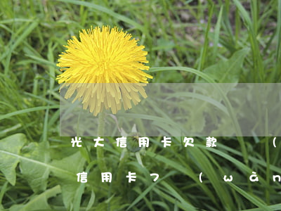 光大信用卡欠款兩萬(wàn)八逾期(光大信用卡7萬(wàn)逾期)