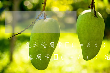 光大信用卡沒(méi)逾期被催收了（光大信用卡沒(méi)逾期被催收）