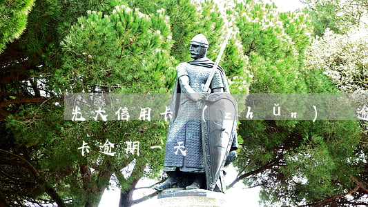 光大信用卡準(zhǔn)備逾期(光大信用卡 逾期一天)