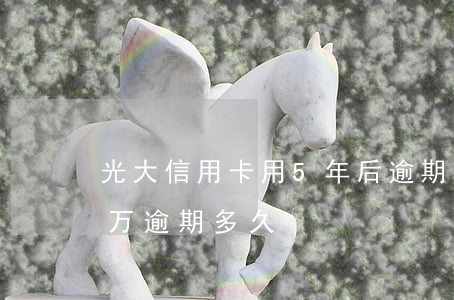 光大信用卡用5年后逾期(光大银行信用卡5万逾期多久)