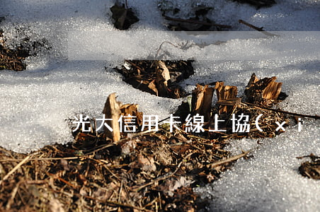 光大信用卡線上協(xié)商
