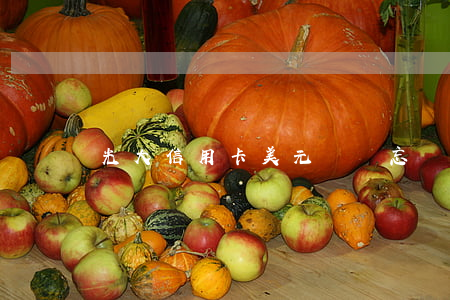 光大信用卡美元賬戶忘記交逾期