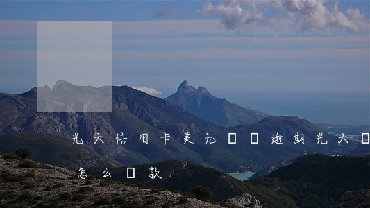 光大信用卡美元賬戶逾期(光大銀行美元賬戶怎么還款)