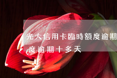 光大信用卡臨時額度逾期(光大信用卡臨時額度逾期十多天)