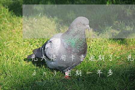 光大信用卡要逾期了-光大信用卡7萬(wàn)逾期一年多