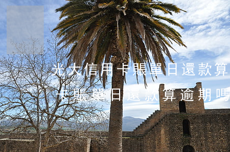 光大信用卡賬單日還款算逾期嗎-光大信用卡賬單日還款算逾期嗎怎么辦