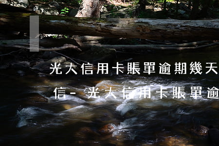 光大信用卡賬單逾期幾天會(huì)上征信-光大信用卡賬單逾期幾天會(huì)上征信報(bào)告