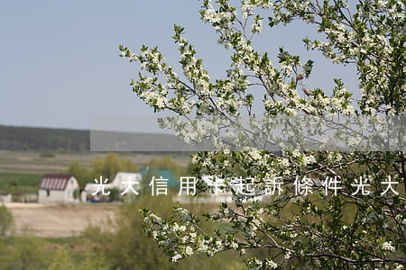 光大信用卡起訴條件(光大起訴流程)